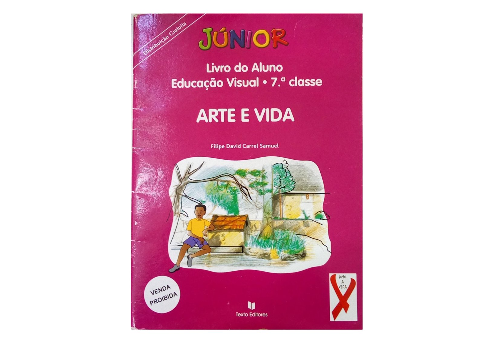 Educação Visual da 7ª Classe (Coleção Junior -Texto Editores Moçambique) Baixar Livro em PDF